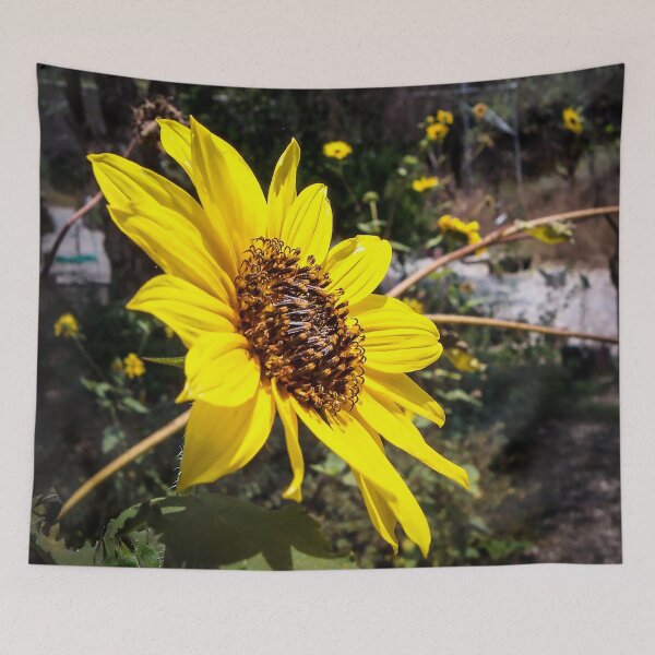 Item preview, Canyon Sunflower designed and sold by Douglas E. Welch Design and Photography.