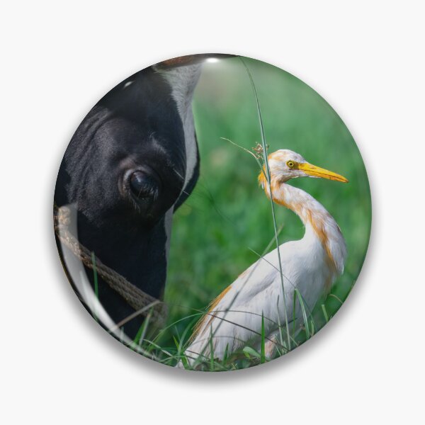 Item preview, White Heron in Grass, Elegant Wildlife and Nature Photography designed and sold by Shaheer-WallArt.
