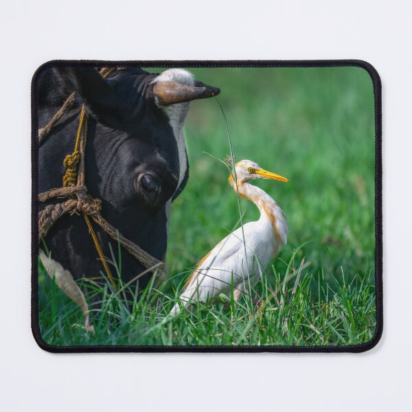 Item preview, White Heron in Grass, Elegant Wildlife and Nature Photography designed and sold by Shaheer-WallArt.
