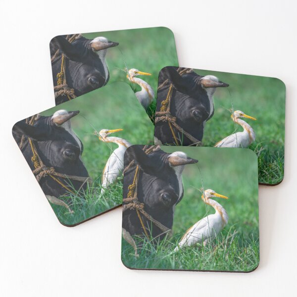 Item preview, White Heron in Grass, Elegant Wildlife and Nature Photography designed and sold by Shaheer-WallArt.