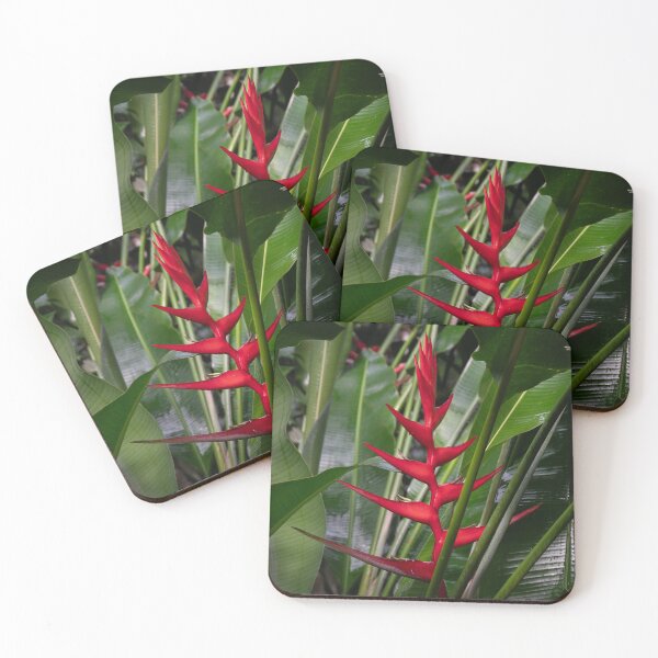 Item preview, Heliconia, Cairns Botanic Gardens designed and sold by Kate Powick.