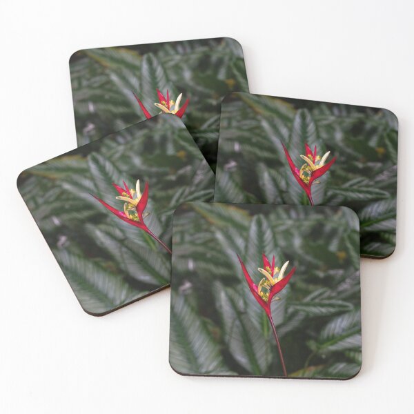 Item preview, Heliconia Flower (Parrot), Cairns Botanic Gardens designed and sold by Kate Powick.