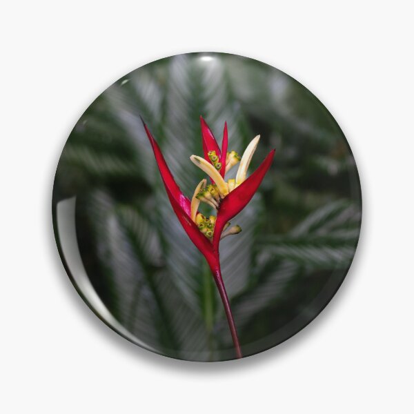 Item preview, Heliconia Flower (Parrot), Cairns Botanic Gardens designed and sold by Kate Powick.