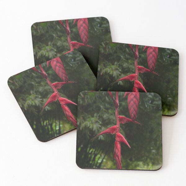 Item preview, Heliconia Flower 3 Cairns Botanic Gardens designed and sold by Kate Powick.