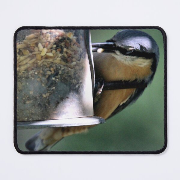 Item preview, nuthatch designed and sold by KathleenDawson.