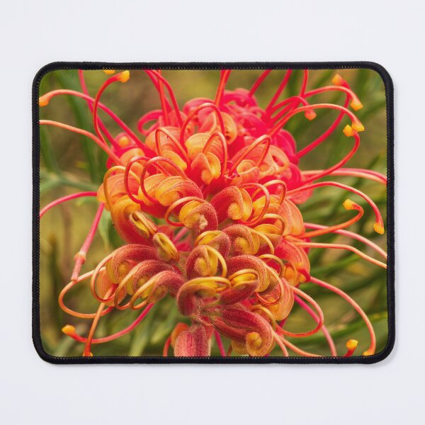 Item preview, red yellow grevillea designed and sold by Esther Frieda.