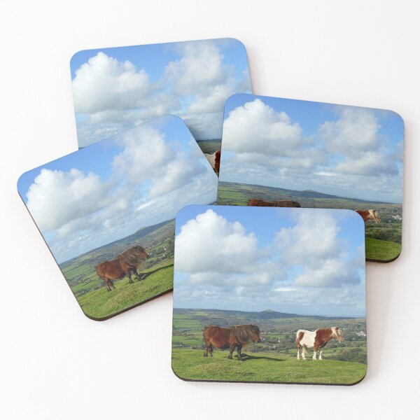 Item preview, Dartmoor Ponies designed and sold by Chris Petty.