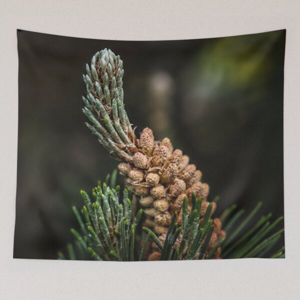 Item preview, Pine Cone Detail Macro Close-Up designed and sold by RastislavS.