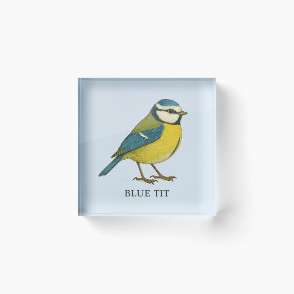 Item preview, Blue Tit – Vintage Field Guide Style Bird Illustration for Nature Lovers & Forest School designed and sold by The Digital Compass.