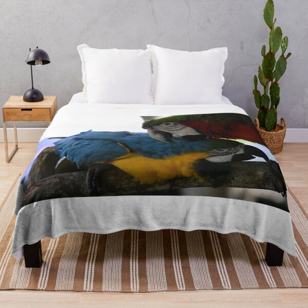 Item preview, Colorful Macaws in Affectionate Display designed and sold by MercerImages.