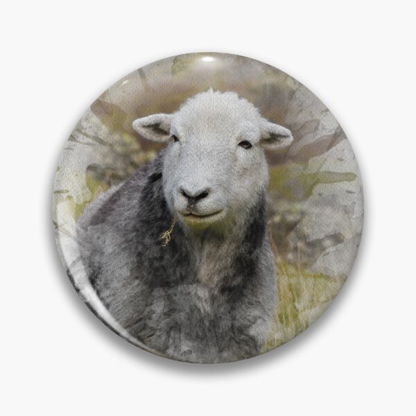 Item preview, Herdwick Sheep Watercolour Photograph designed and sold by Jane Stanley Photography.