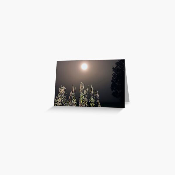 landscape before midnight 1 Greeting Card