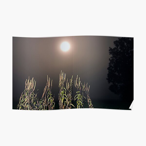 landscape before midnight 1 Poster