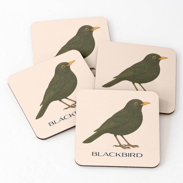 Item preview, Blackbird – Vintage Field Guide Style Bird Illustration for Nature Lovers & Forest School designed and sold by The Digital Compass.