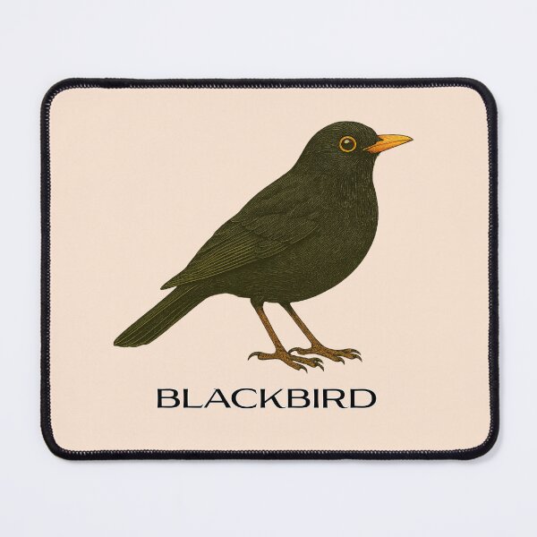Item preview, Blackbird – Vintage Field Guide Style Bird Illustration for Nature Lovers & Forest School designed and sold by The Digital Compass.