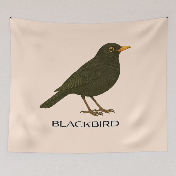 Item preview, Blackbird – Vintage Field Guide Style Bird Illustration for Nature Lovers & Forest School designed and sold by The Digital Compass.