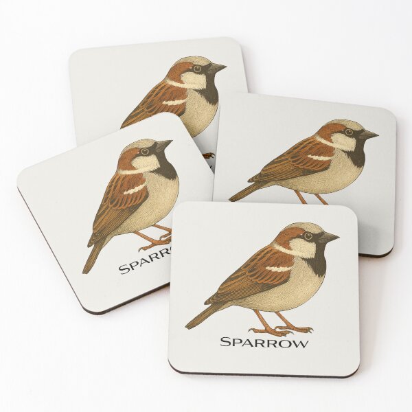 Item preview, House Sparrow – Vintage Field Guide Style Bird Illustration for Nature Lovers & Forest School designed and sold by The Digital Compass.