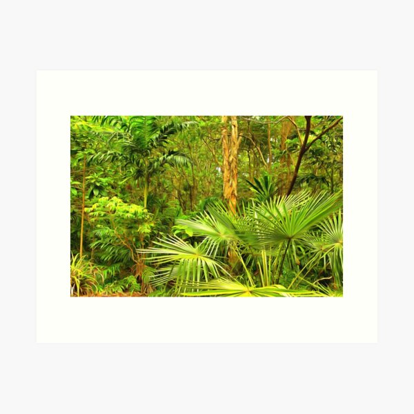 Item preview, wilderness designed and sold by OzCamera.
