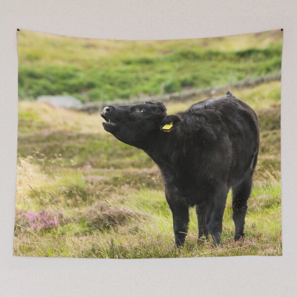 Item preview, Black Cow designed and sold by Jane Stanley Photography.