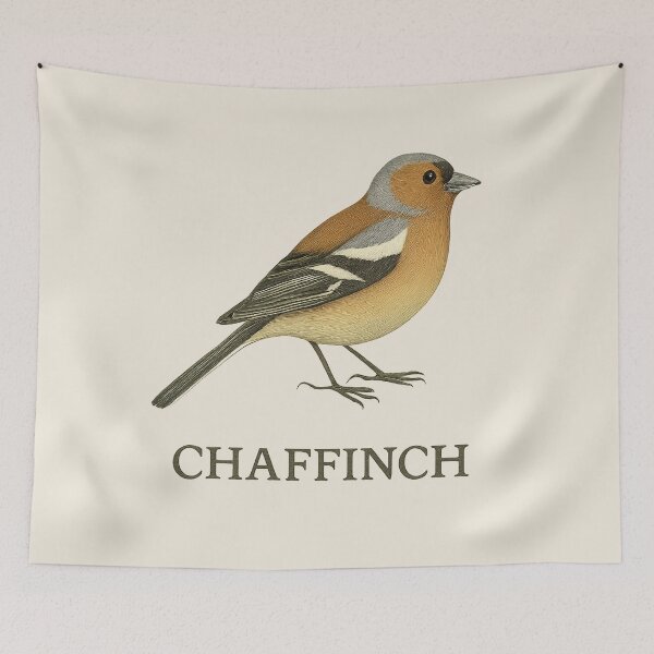 Item preview, Chaffinch – Vintage Field Guide Style Bird Illustration for Nature Lovers & Forest School designed and sold by The Digital Compass.