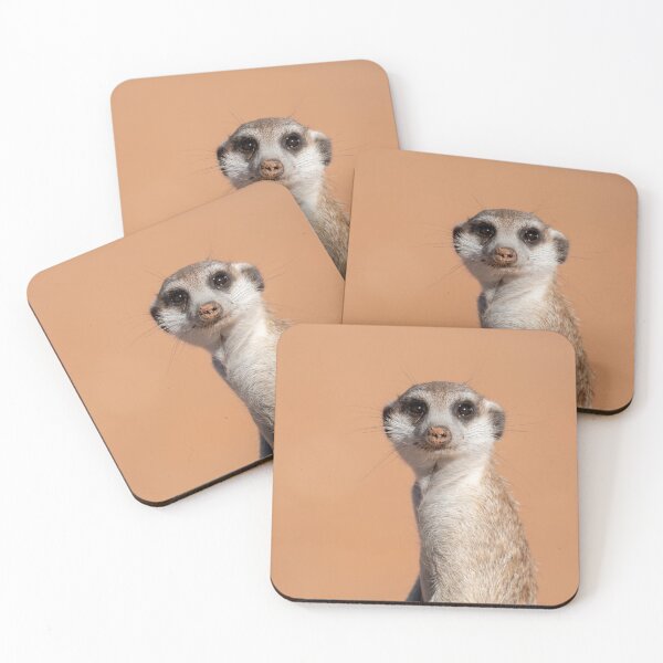Item preview, Suricate in savannah - Animal of africa, Botswana safari photo 2025 designed and sold by DavideAntoniani.