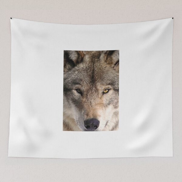 Item preview, Stalking Wolf designed and sold by purelightimages.