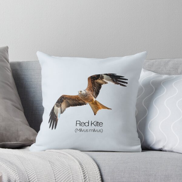 Item preview, Red Kite – Majestic Fork‑Tailed Raptor of British Skies designed and sold by The Digital Compass.