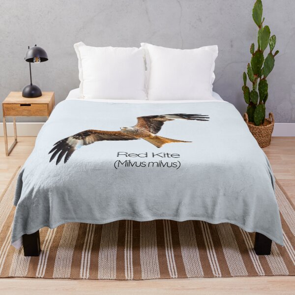 Item preview, Red Kite – Majestic Fork‑Tailed Raptor of British Skies designed and sold by The Digital Compass.