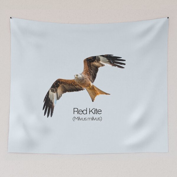 Item preview, Red Kite – Majestic Fork‑Tailed Raptor of British Skies designed and sold by The Digital Compass.