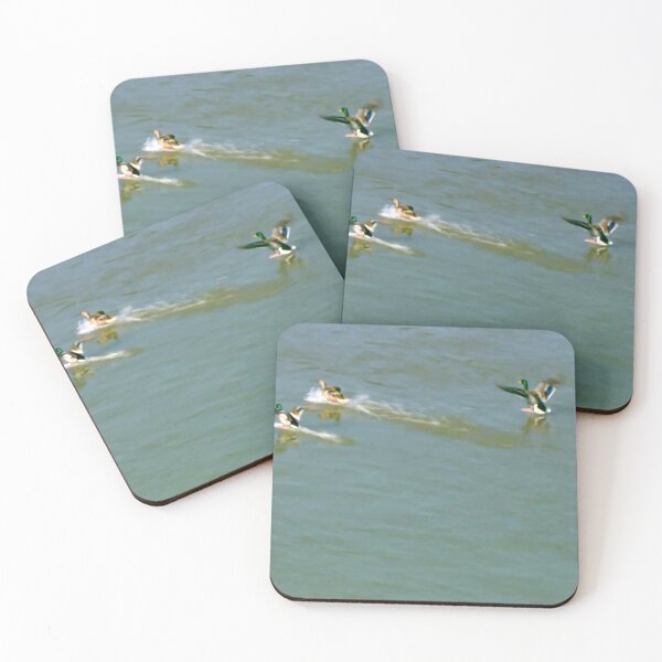 Item preview, Ducks designed and sold by DjeriK.