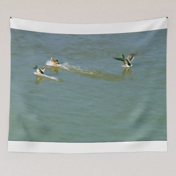 Item preview, Ducks designed and sold by DjeriK.