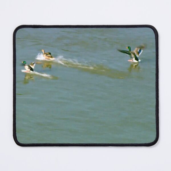Item preview, Ducks designed and sold by DjeriK.