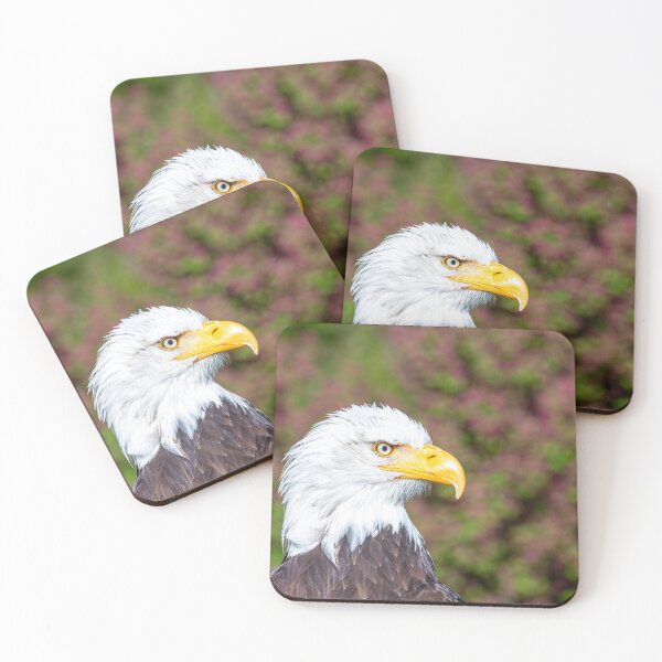 Item preview, Sea eagle designed and sold by AIHector.