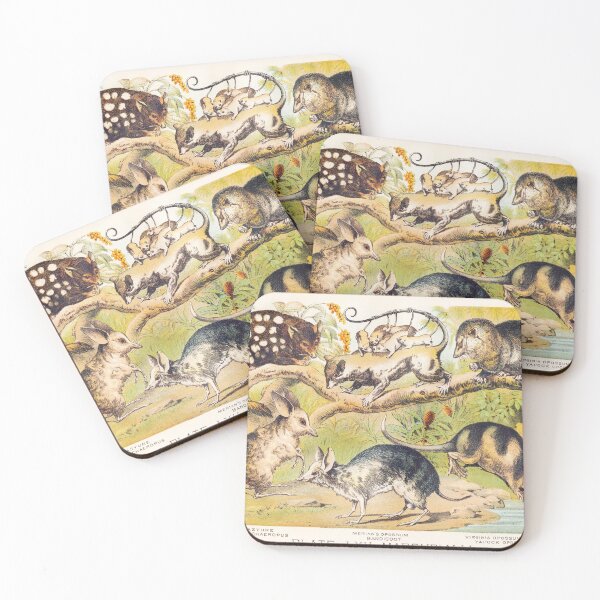 Item preview, Vintage Marsupials art plate Dasyure Chaeropus Opossum Bandicoot  designed and sold by Vintage Designs +.