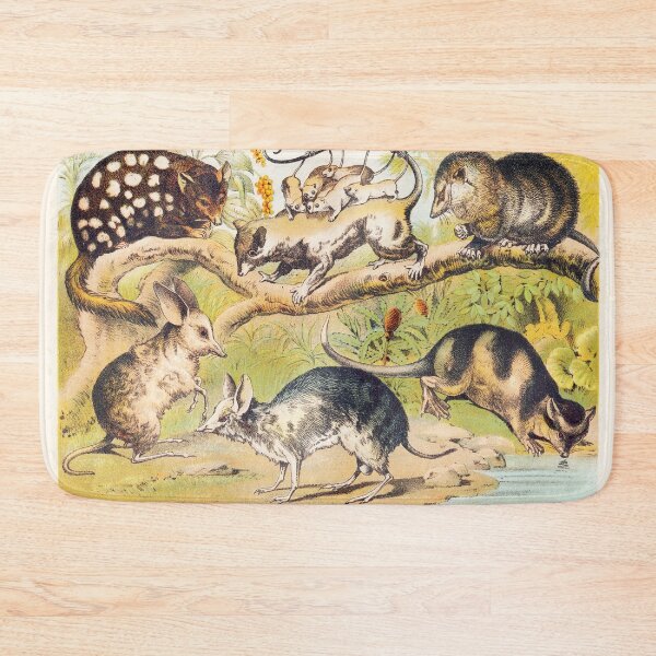 Item preview, Vintage Marsupials art plate Dasyure Chaeropus Opossum Bandicoot  designed and sold by Vintage Designs +.