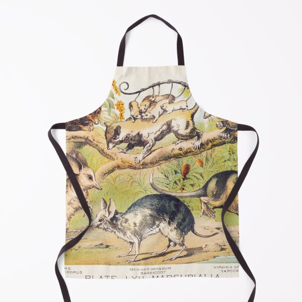 Item preview, Vintage Marsupials art plate Dasyure Chaeropus Opossum Bandicoot  designed and sold by Vintage Designs +.