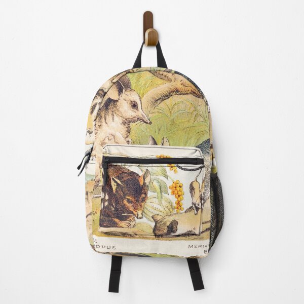 Item preview, Vintage Marsupials art plate Dasyure Chaeropus Opossum Bandicoot designed and sold by Vintage Designs +.