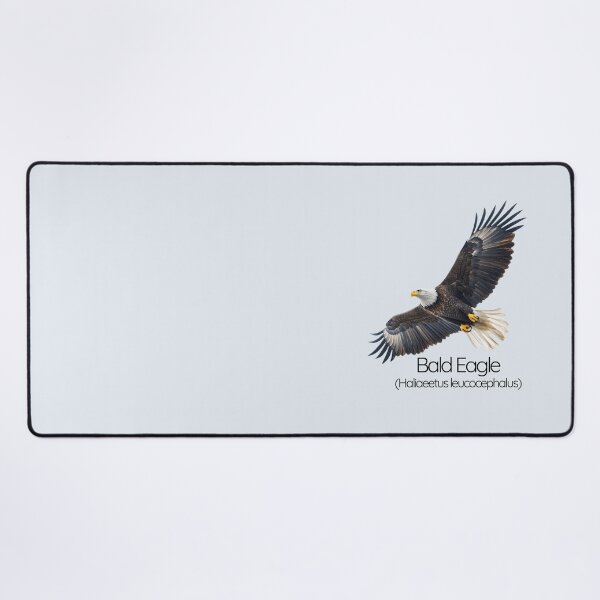 Item preview, Bald Eagle Majesty – The Symbol of Strength and Freedom designed and sold by The Digital Compass.