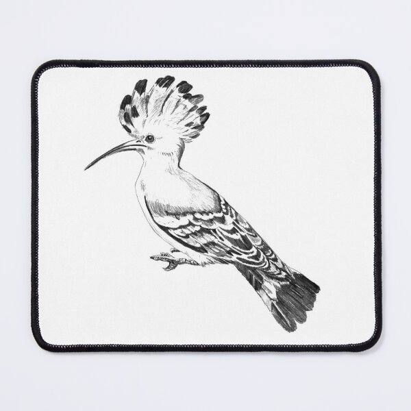 Item preview, Drawing hoopoe exotic bird designed and sold by Malandart.