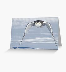 Determined Greeting Card