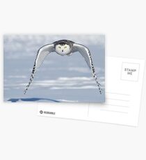 Determined Postcards