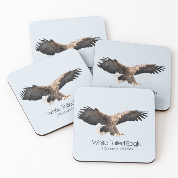 Item preview, White-Tailed Eagle – The Majestic Sea Hunter of Northern Skies designed and sold by The Digital Compass.