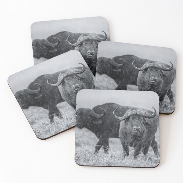 Item preview, Two Cape Buffalo in the Rain designed and sold by PhotoArt by Joan Carroll.