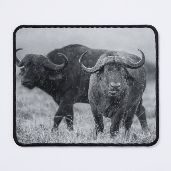 Item preview, Two Cape Buffalo in the Rain designed and sold by PhotoArt by Joan Carroll.