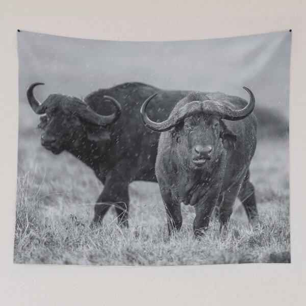 Item preview, Two Cape Buffalo in the Rain designed and sold by PhotoArt by Joan Carroll.