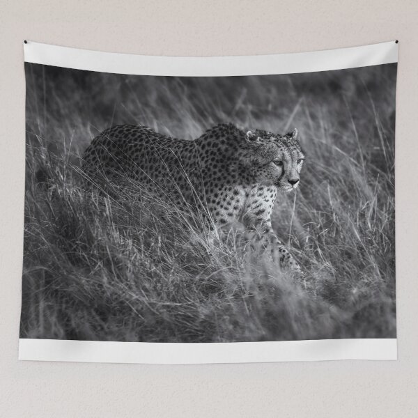 Item preview, Cheetah on the Prowl BW designed and sold by PhotoArt by Joan Carroll.