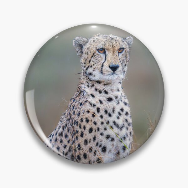 Item preview, Cheetah in the Rain Masai Mara Kenya designed and sold by PhotoArt by Joan Carroll.