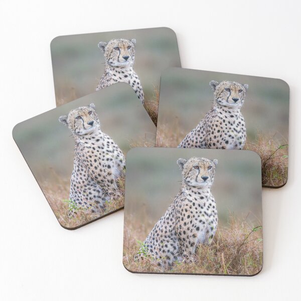 Item preview, Cheetah in the Rain Masai Mara Kenya designed and sold by PhotoArt by Joan Carroll.