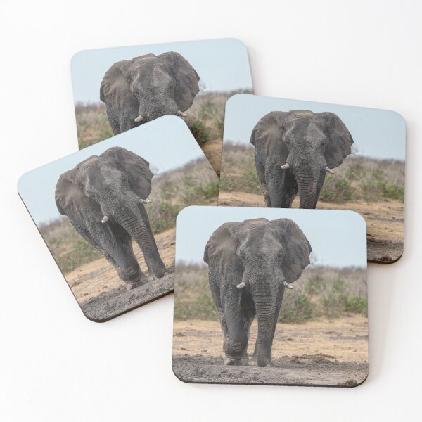 Item preview, Wild elephant in savanna - Animal of africa, Botswana safari photo 2025 designed and sold by DavideAntoniani.