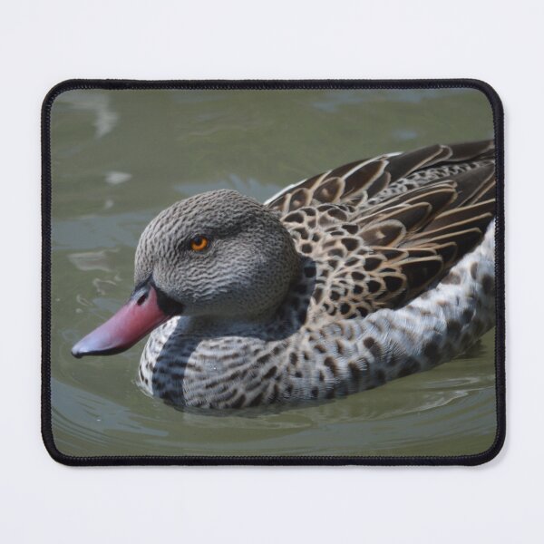 Item preview, Just Ducking Around designed and sold by Shyenne Moran.